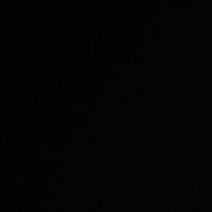 Meet your Posher, Lillian